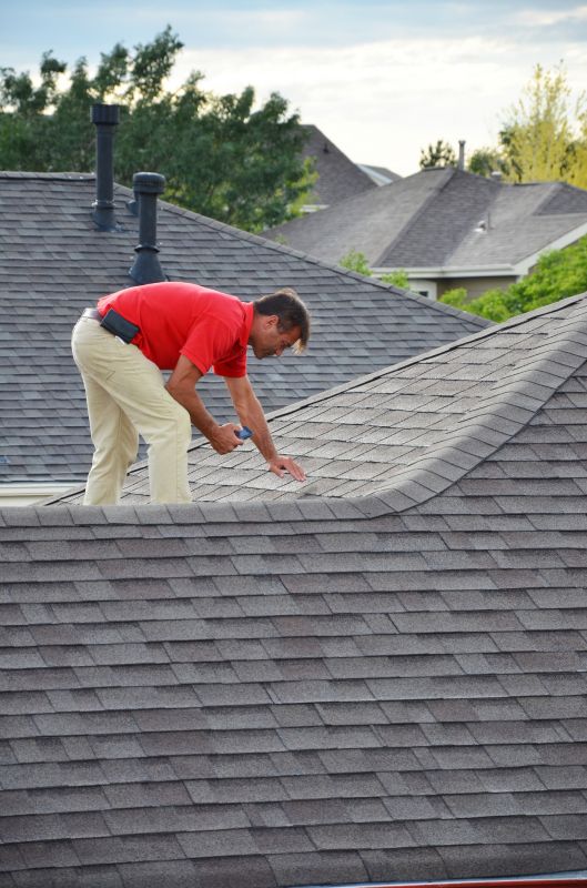 Roof Maintenance Service
