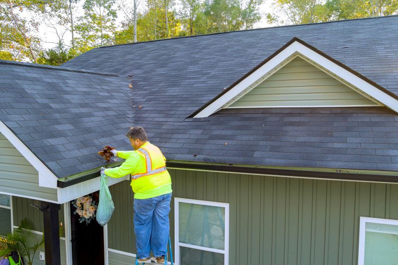 Gutter and Roof Maintenance Services
